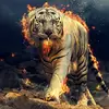 George marin - @whitetigerking16 - TikTok