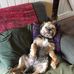 George Mark - Facebook