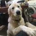 George Marko - Facebook