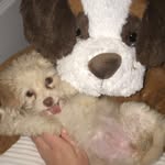 Finley George Mayberry - @finleygeorgemayberry - Instagram