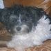 George Mays - Facebook