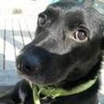George Mccauley - @george.mccauley.52 - Instagram