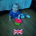 George McCauley - Facebook