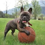 Aidan George McCloud - @aidangeorgemccloud - Instagram