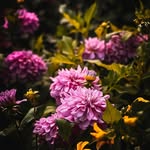 George Mccloud - @georgemccloud7 - Instagram