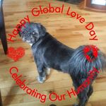 George McCutcheon - @boomer1471 - Instagram