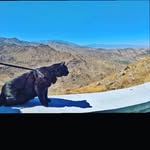 George McFall - @_wanderingwhiskers_ - Instagram