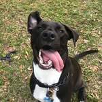 George McFly Fernandez - @_goodboy_george - Instagram
