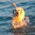 George McHenry - Facebook