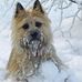 George McInnes - Facebook