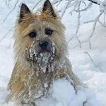 George McInnes - @george.mcinnes.98 - Instagram