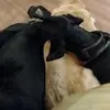 George McMurdo - @george.mcmurdo1 - TikTok