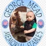george mead memorial stables - @george.mead.memorial.stables - Instagram