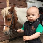 George Mead Stables - @georgemeadmemorialstables - Instagram