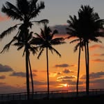 George Meisner - @meisnergeorge - Instagram