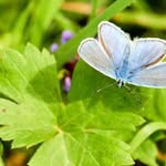 George Meister - @georgemeister43 - Instagram
