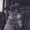 George Mena - @george.mena - TikTok