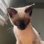 George Merchant - @george.merchant.3 - Instagram