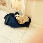 George - @george_merrick7975 - Instagram