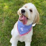 George Merrick - @sweetsweetgeorge - Instagram