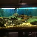 George Merrifield Issak Cooley - @georgemerrifield - Instagram