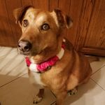 George Mertz - @ghmertz - Instagram
