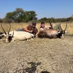 George Messer - @messergeorge - Instagram