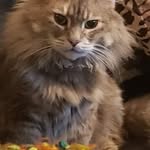 George Messersmith - @george.messersmith - Instagram
