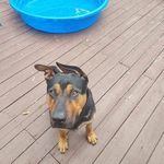 George Messier - @gjm016 - Instagram