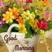George Messiha - Facebook