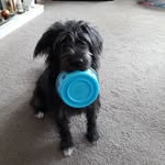 George Millar - @george.millar.501 - Instagram