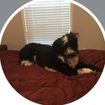 George Milliken - @rofac21135 - Instagram