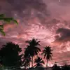 George Minterstone - @george.minterston - TikTok