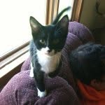 George Zakem - @georgemittens - Instagram