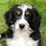 george - @most.curious.george - Instagram