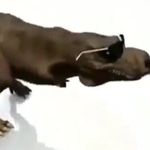 nun ya - @george_edits_muddy_ducks - Instagram