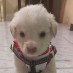 George Muñiz - @georgemuniz10 - Instagram
