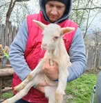 George Munteanu - Facebook