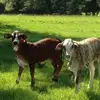 George Norris - @george.norris04 - TikTok