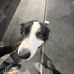 George Null - Facebook
