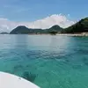George Null - @george.null6 - TikTok