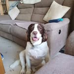 George Nutt - @george.nutt.7146 - Instagram