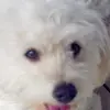 georgesoldham - @georgesoldham - TikTok