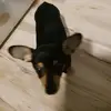 george olmos - @george.olmos1 - TikTok