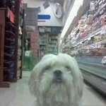 George Olszewski - @georgeolszewski - Instagram