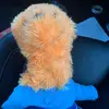 🧸🍊George🍊🧸 - @georgetheorangebear - TikTok