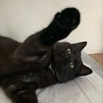 George&Orange - @blackcatgeorge23 - Instagram