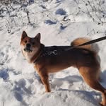 @geor__george - Instagram