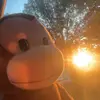 George - @banna_bannageorgie - TikTok
