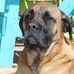 George Orndorff - Facebook